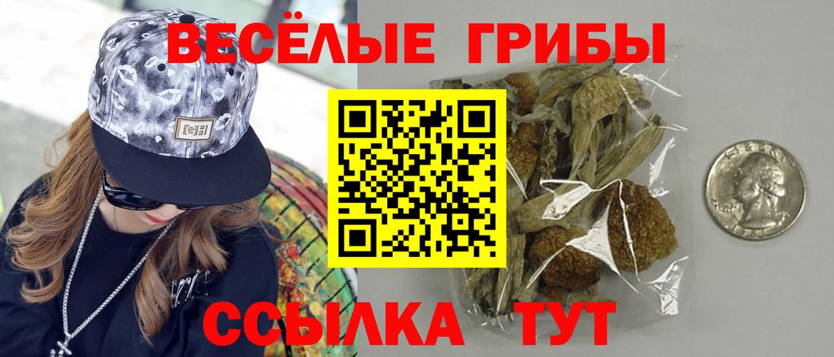 Галлюциногенные грибы Magic Shrooms  Вход с VPN  Псилоцибиновые грибы прущие грибы  наркота  Зеленогорск 