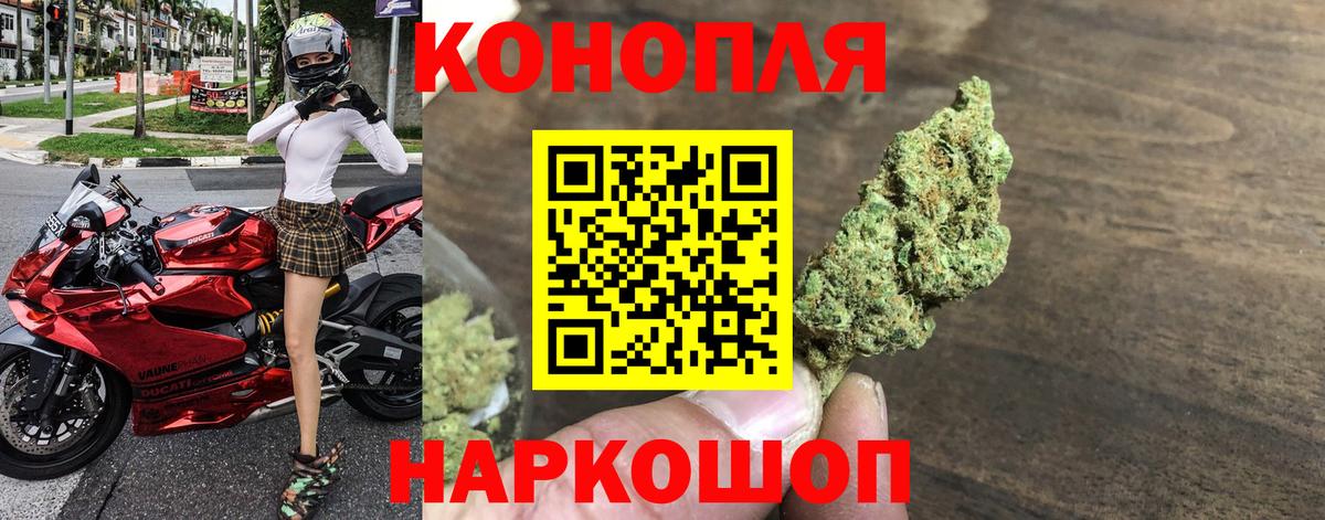 МАРИХУАНА планчик Зеленогорск